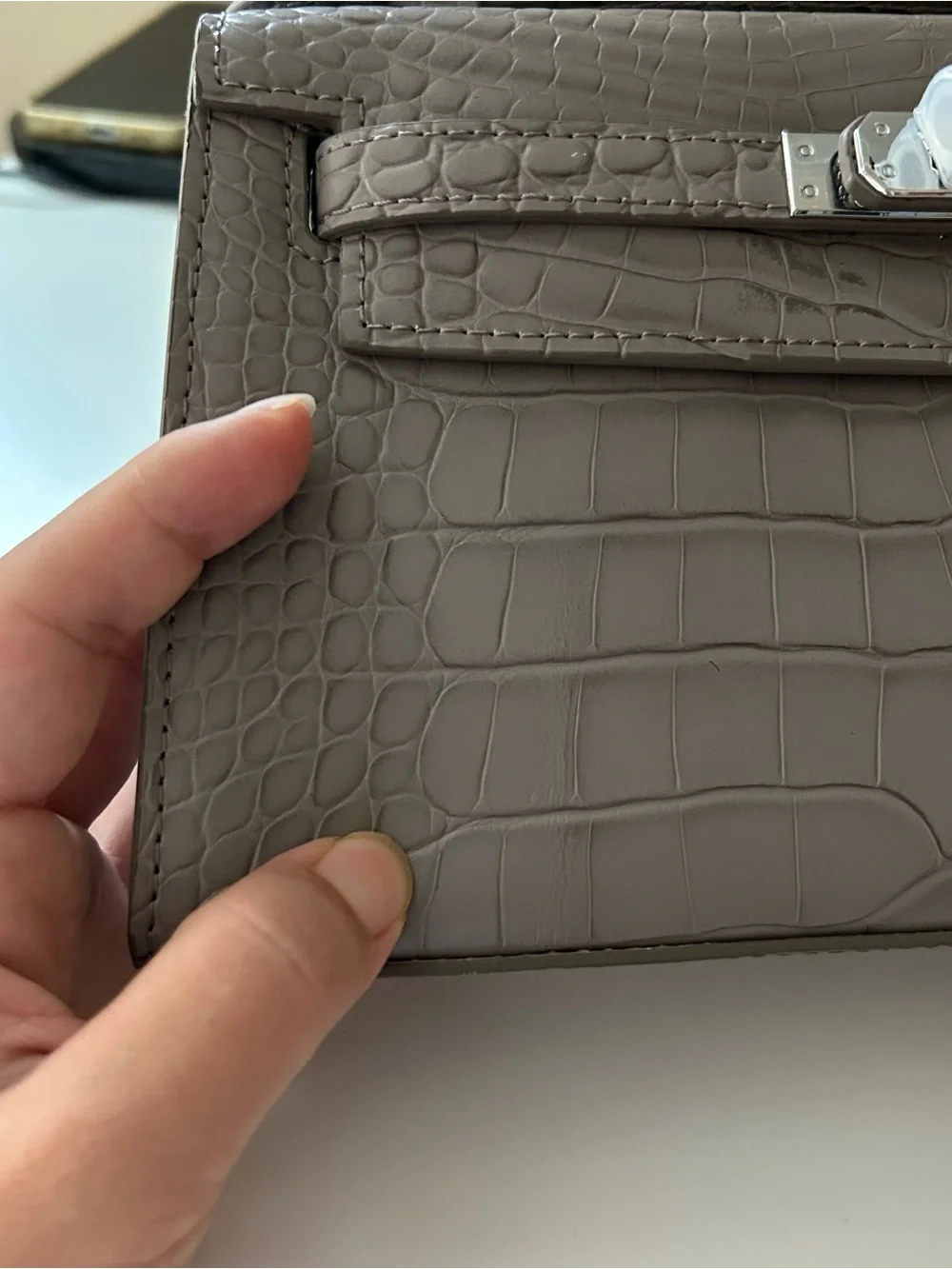 22cm Etaupe Croc-Embossed Leather Pochette